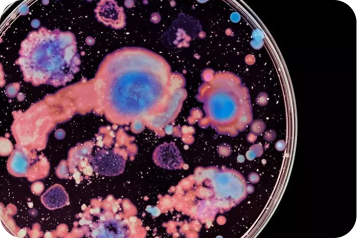 Overview:  Measuring the microbiome as an ecosystem