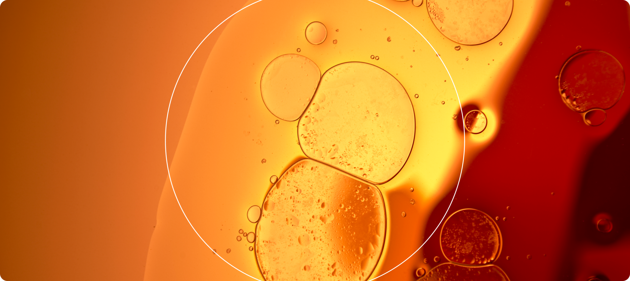 Microscopy image related to intestinal inflammation