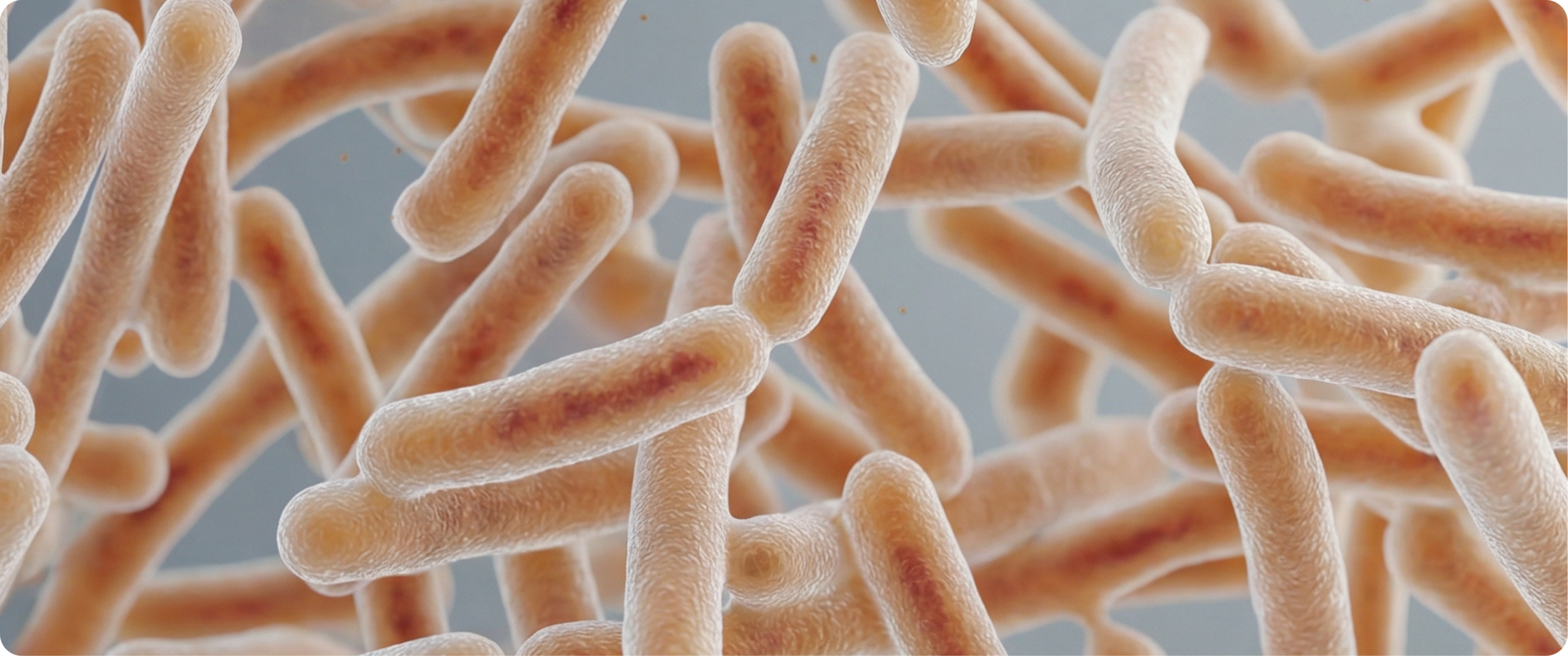 Deep dive: Understanding the gut microbiome