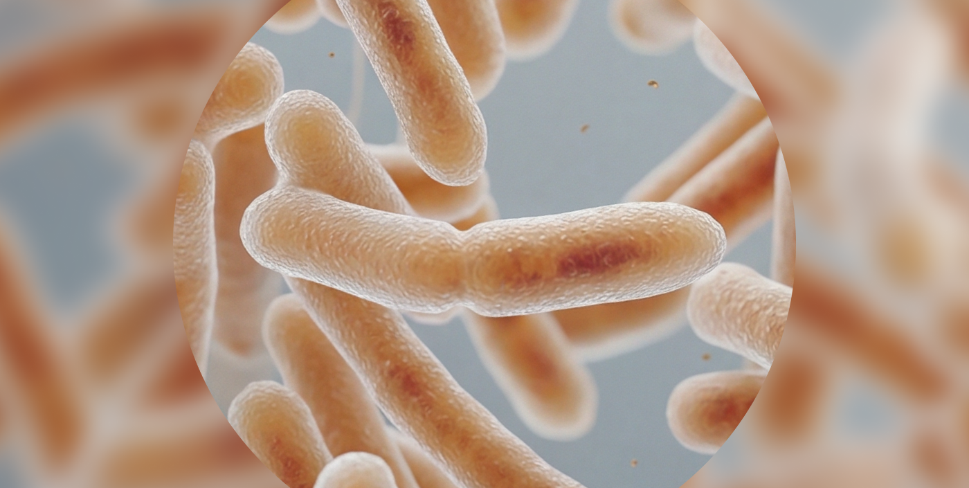 Overview: Understanding the gut microbiome