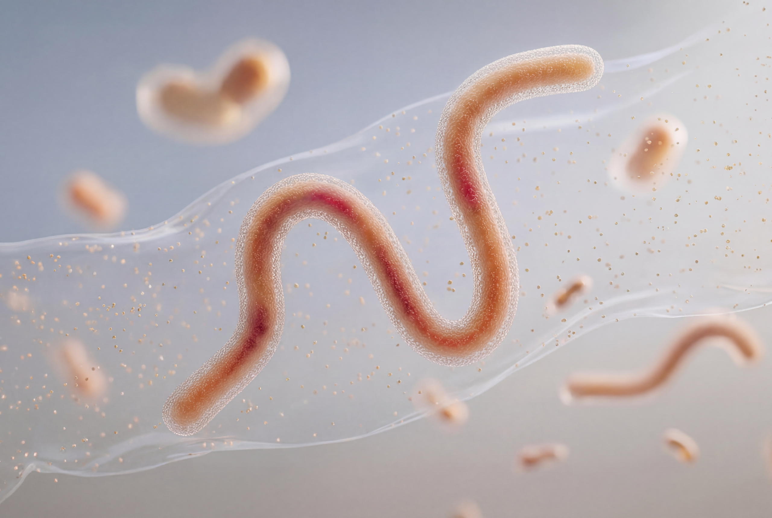 Study Digest: Gut health is all about connections